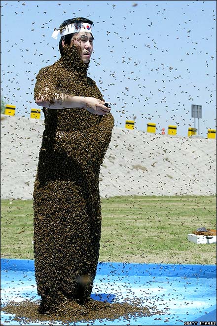 bees 050206.jpg